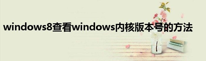 windows8查看windows内核版本号的方法