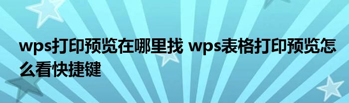 wps打印预览在哪里找 wps表格打印预览怎么看快捷键