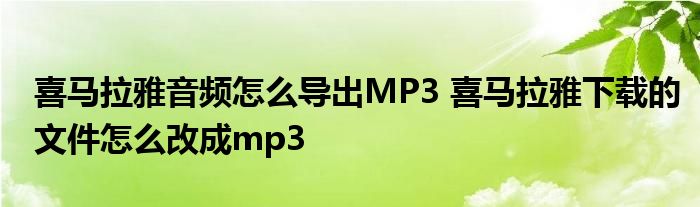 喜马拉雅音频怎么导出MP3 喜马拉雅下载的文件怎么改成mp3